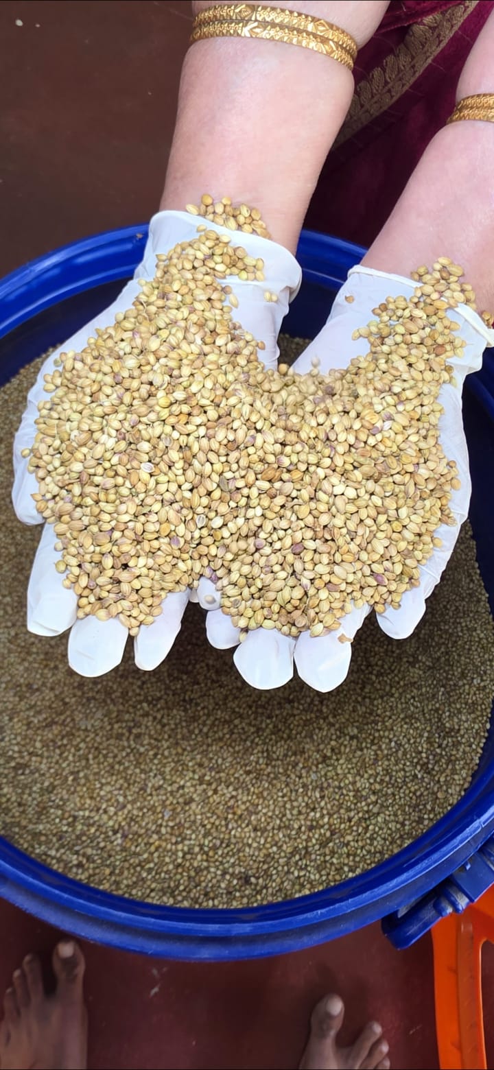 Slow grinding masala batch